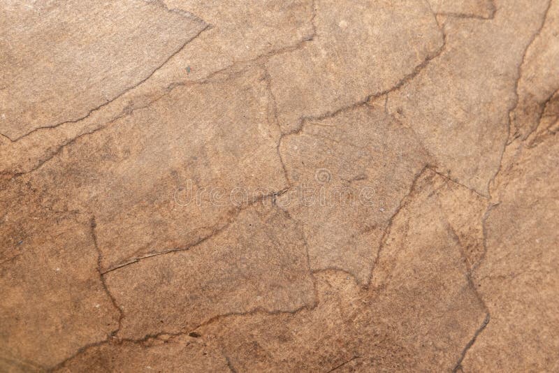  2,842 Paper Mache Stock Photos - Free & Royalty-Free Stock Photos from 