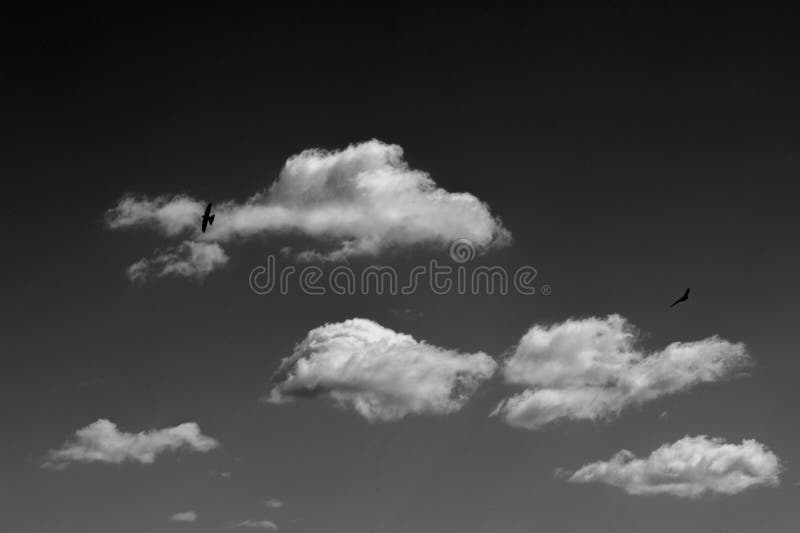 Background texture, pattern. Clouds on a black background, convenient for designers