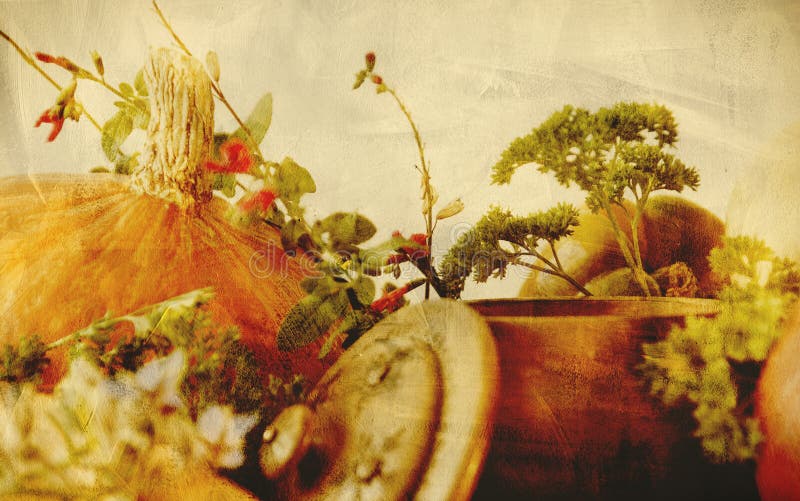 Background texture with pumpkins, carrots, seeds, butternut squash and herbs - Still life composition with seasonal vegetables of