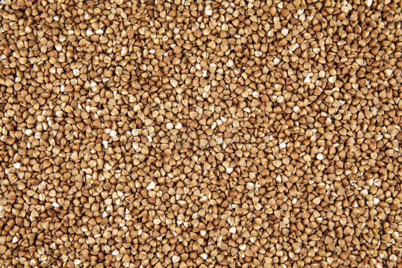 Whole grains of buckwheat stock image. Image of full 155707339