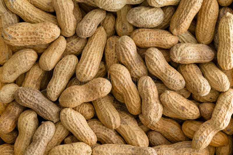 Background Texture of Whole Natural Peanuts Stock Image Image of