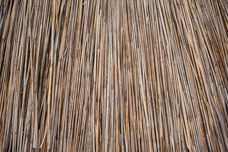 Background of Thatched Roof, Dry Grass or Hay. Texture of Dried Grass