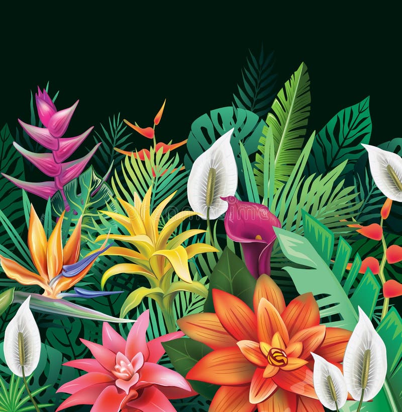 Background from Tropical Flowers Stock Vector Illustration of green, floral 32772363