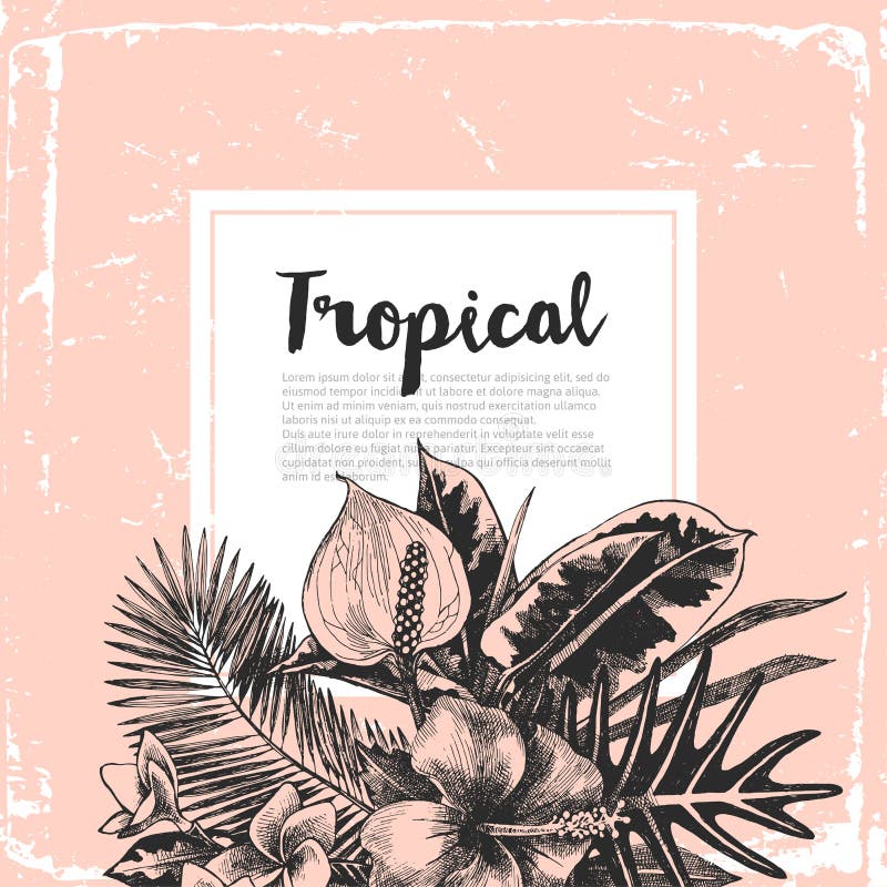 Background with tropical plants stock illustration Background with tropical plants stock illustration