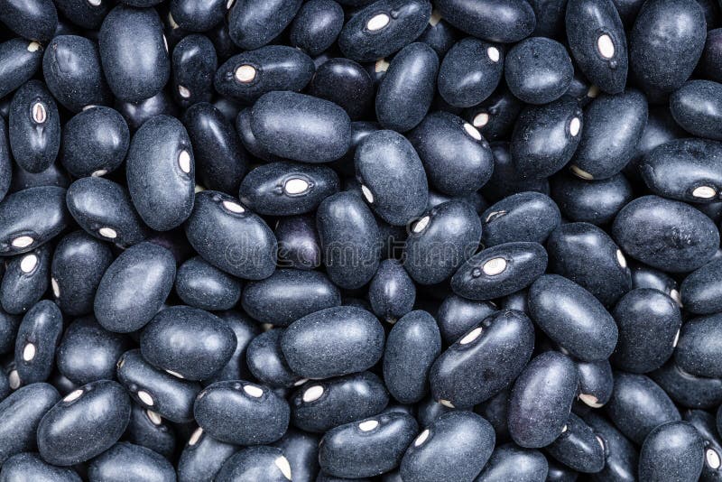 Uncooked Black Eyed Peas in a Bowl Stock Photo Image of black, macro