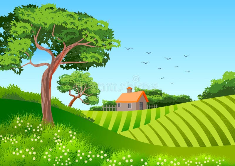 Background or Wallpaper with Illustration with Natural Landscape. Trees,  Cultivated Fields and a Cottage Stock Illustration - Illustration of green,  herbs: 151797110