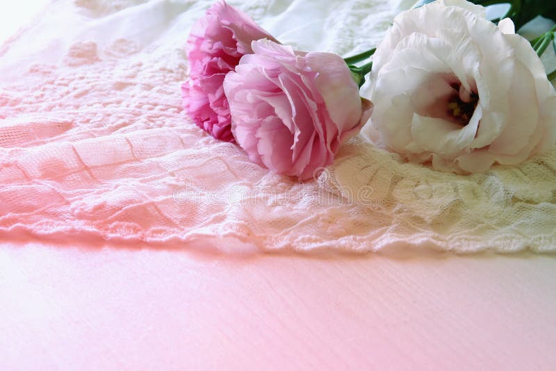 Background of White Delicate Lace Fabric Stock Photo Image of floral
