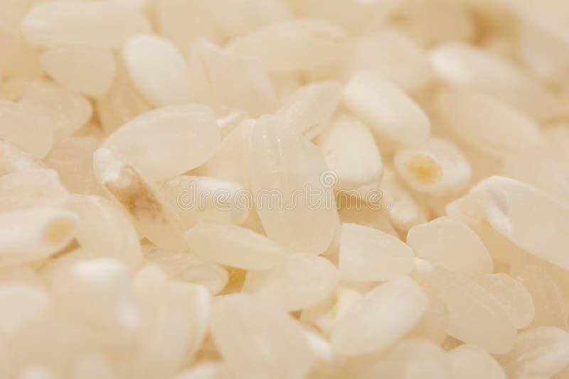 Background of White Rice. Macro Stock Image Image of eastern, food