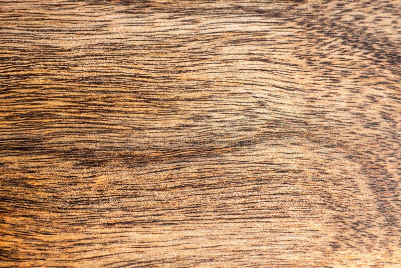 Background from Wood Texture. Light Wood with Dark Veins Stock Photo