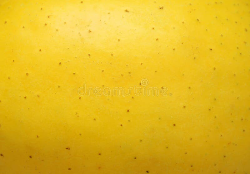 Background a yellow apple stock image. Image of freshness 19971735