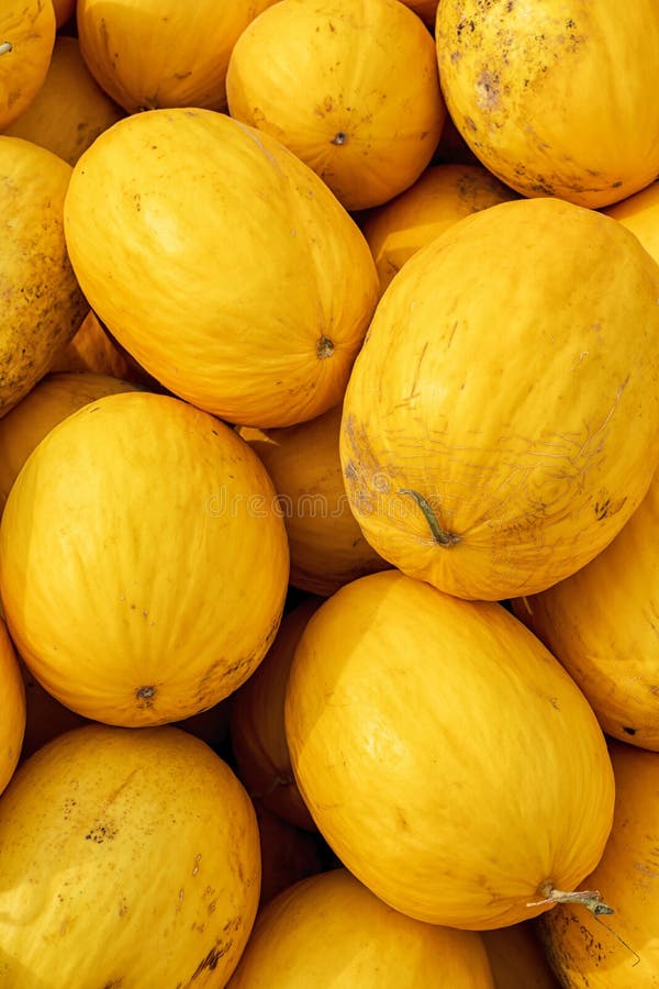 Background of Yellow Melons. Summer Fruit Pattern Stock Photo Image