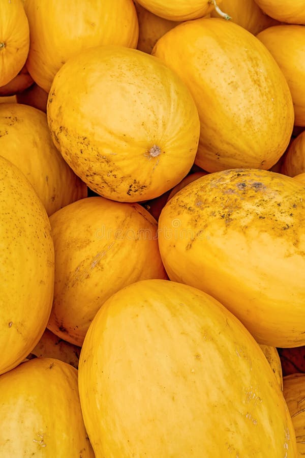 Background of Yellow Melons. Summer Fruit Pattern Stock Image Image