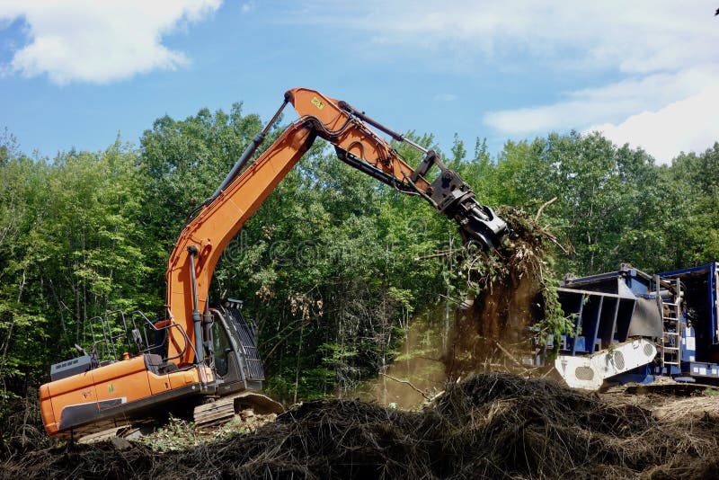 Orange back hoe clearing brush in a forest in summer on a sunny day, blue sky digging bucket articulated arm . Orange back hoe clearing brush in a forest in summer on a sunny day, blue sky digging bucket articulated arm