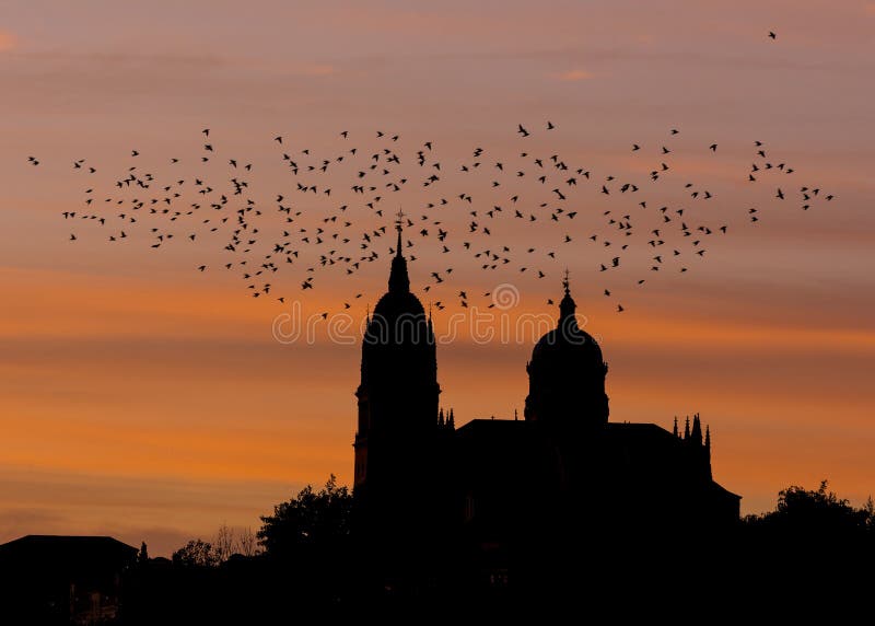 Backlight of a flock of birds on the towers of the cathedral of Salamanca