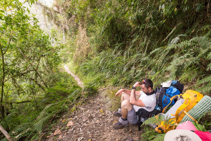Backpacker τουριστών δασικό ίχνος ζουγκλών συνεδρίασης στηργμένος, Βολιβία στοκ εικόνα με δικαίωμα ελεύθερης χρήσης Backpacker τουριστών δασικό ίχνος ζουγκλών συνεδρίασης στηργμένος, Βολιβία στοκ εικόνα με δικαίωμα ελεύθερης χρήσης