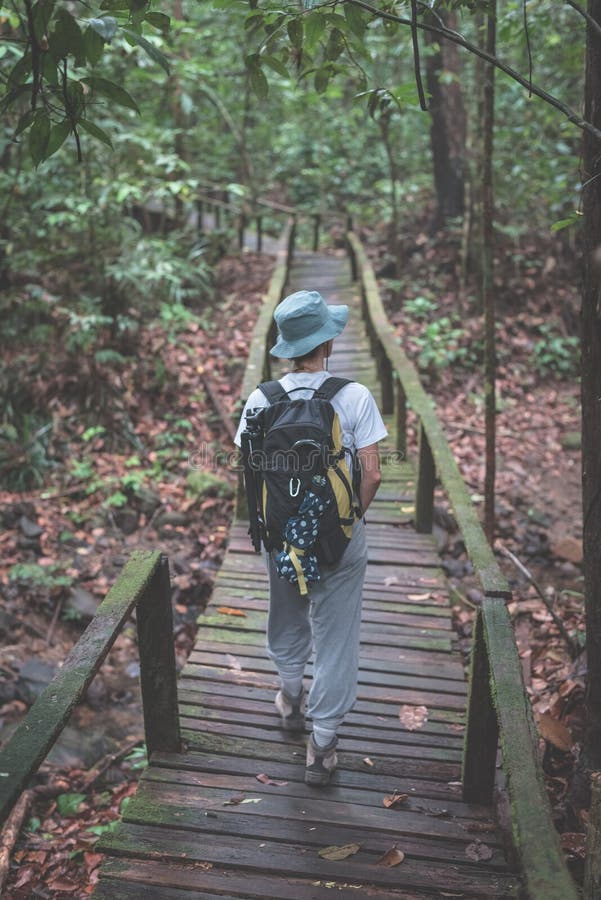 Backpacker исследуя величественные джунгли национального парка Kubah, западного Саравака, Борнео, Малайзии стоковая фотография rf Backpacker исследуя величественные джунгли национального парка Kubah, западного Саравака, Борнео, Малайзии стоковая фотография rf