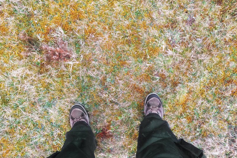 Backpackertoerist die zich in wandelaarlaarzen bevinden op het de herfstgras stock foto's Backpackertoerist die zich in wandelaarlaarzen bevinden op het de herfstgras stock foto's