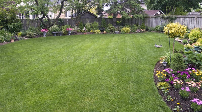 Backyard stock image Backyard stock image