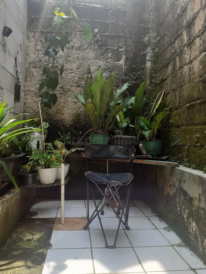 Backyard Alley Scenery stock photo. Image of infrastructure 221821076