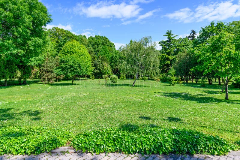 Backyard and garden with spring trees and grass on lawn