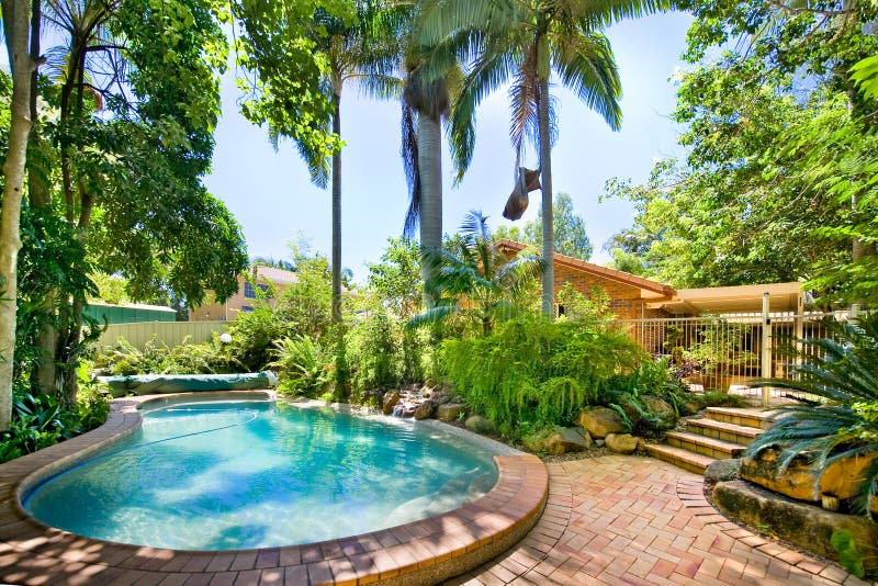 Backyard pool. Nestled away amongst palms and ferns stock photography