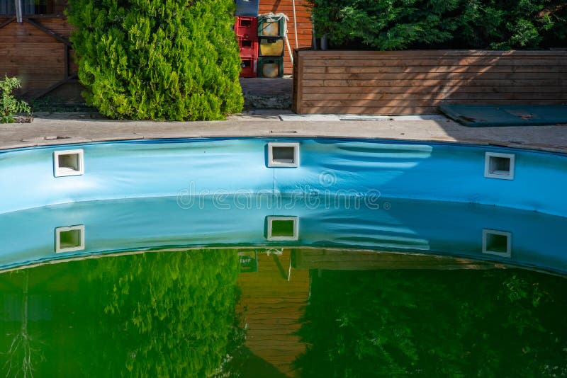 Backyard swimming pool with algae stock image