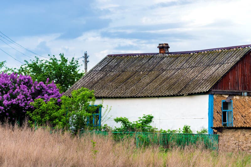 Backyard of Village House. Landscaping with Lilacs Bush Stock Image