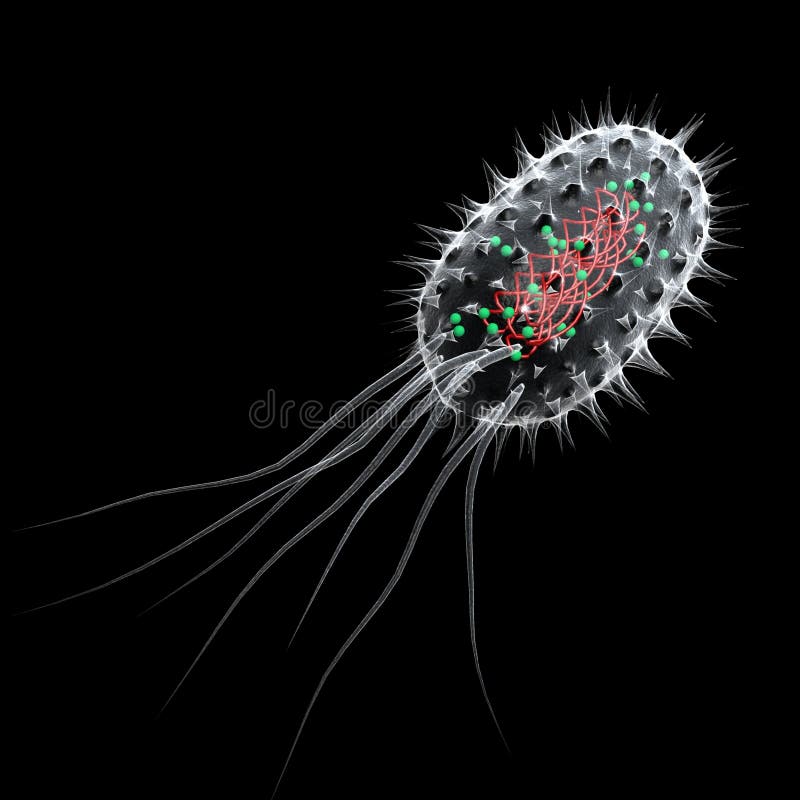 Bacteria stock illustration Bacteria stock illustration