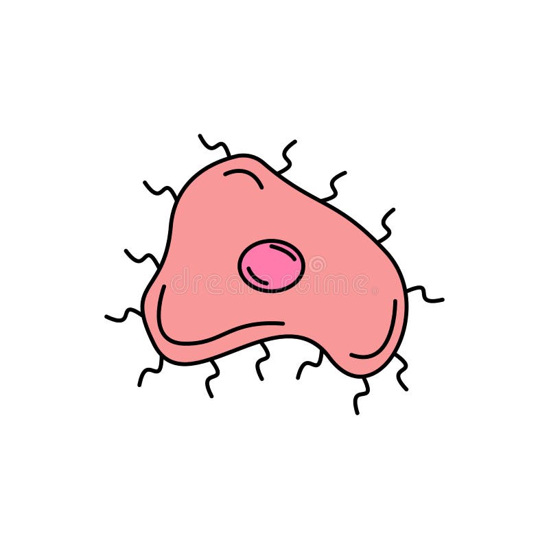 Bacteria coccus science Line ikon. illustrationsikoner för bakterievirus. symboler kan användas för mobila webblogotyper. symboler kan användas för webblogotypens mobilapp ui ux på vit bakgrund.