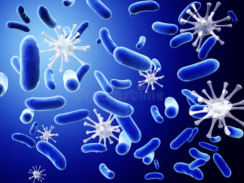 Bacteria and viruses vector illustration