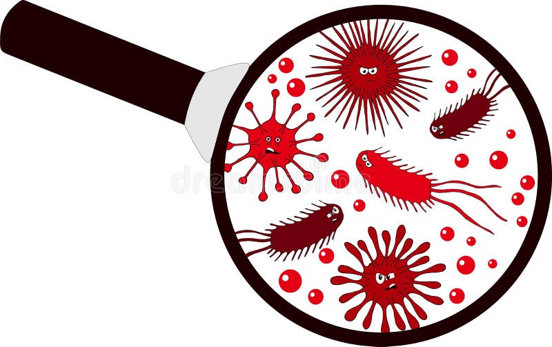 Protozoa Division Collection As Single Cell Eukaryote Biological Outline  Set Stock Vector - Illustration of magnification, primary: 246724111