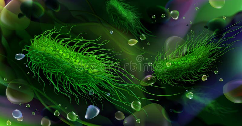 Bacterias barra-formadas verdes de las salmonelas