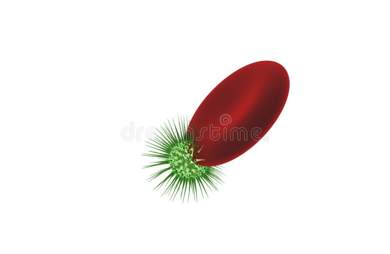 Bacterias con los glóbulos rojos representación 3d ilustración del vector Bacterias con los glóbulos rojos representación 3d ilustración del vector
