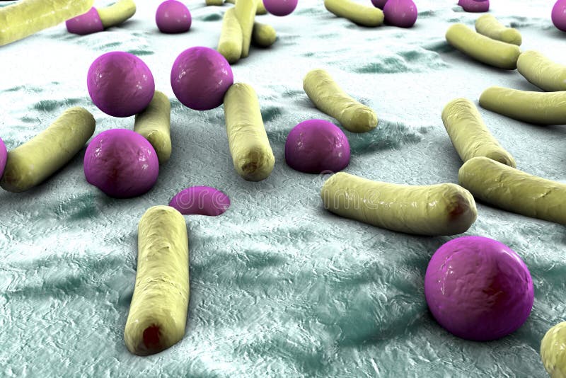 Bacterias en la superficie de la piel, de la membrana mucosa o del intestino ilustración del vector Bacterias en la superficie de la piel, de la membrana mucosa o del intestino ilustración del vector