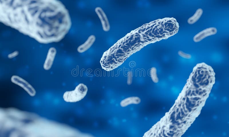 Bacterias microsc?picas