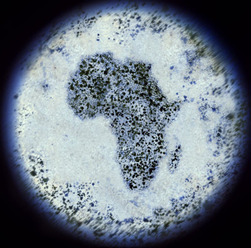 Bacterias in the shape of Africa viewed through a microscope.(se