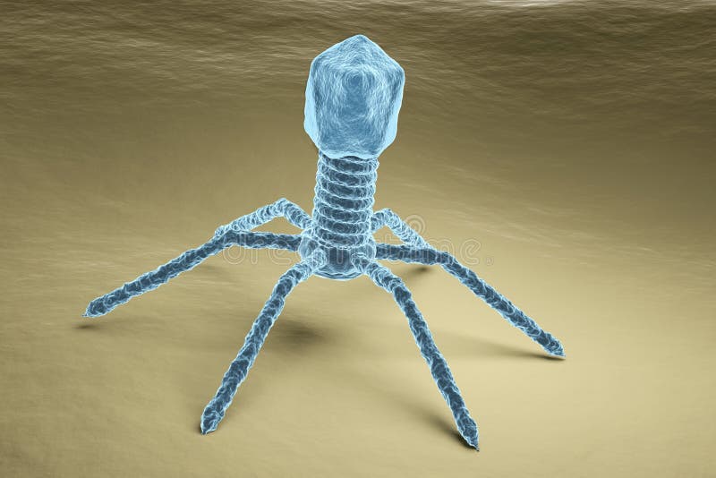 Bacteriophage vírusových častíc na povrchu baktérie ilustrácia simuláciu elektrónová mikroskopia obrázok.