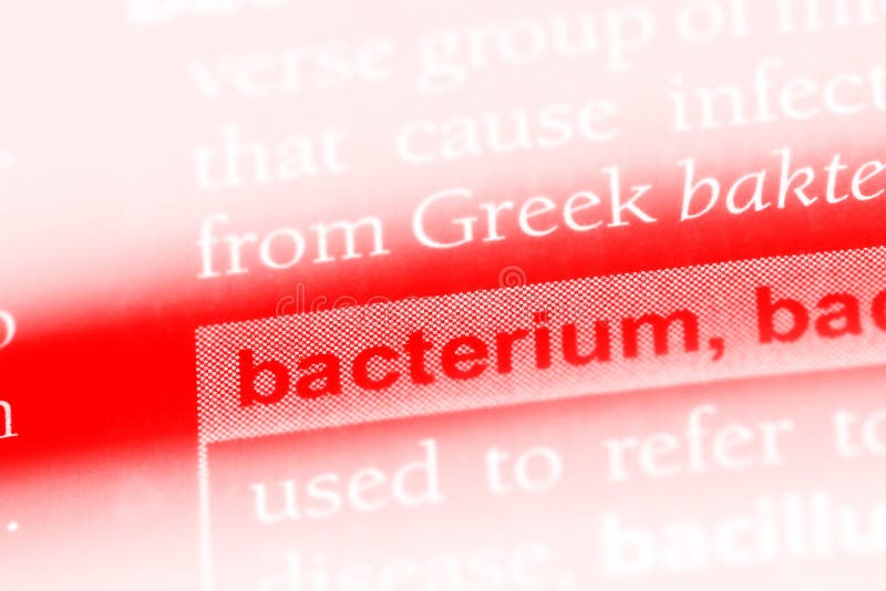 Bacteria visual data 8