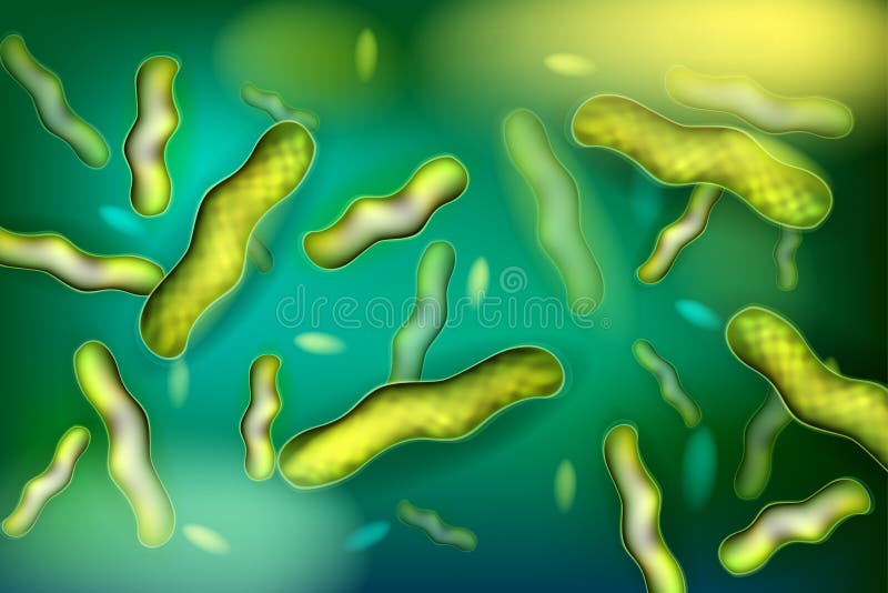Bacteriënlactobacillus Vector royalty-vrije illustratie Bacteriënlactobacillus Vector royalty-vrije illustratie