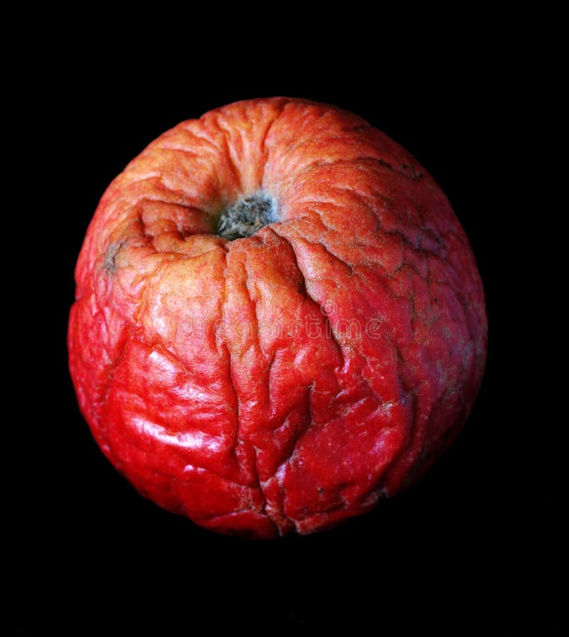 Bad apples stock image. Image of apples, fruit, unhygienic 8688705