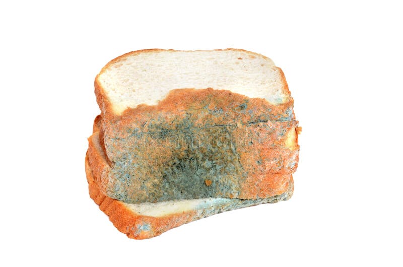Bad bread stock image. Image of mold, green, mouldy, mould 32283525