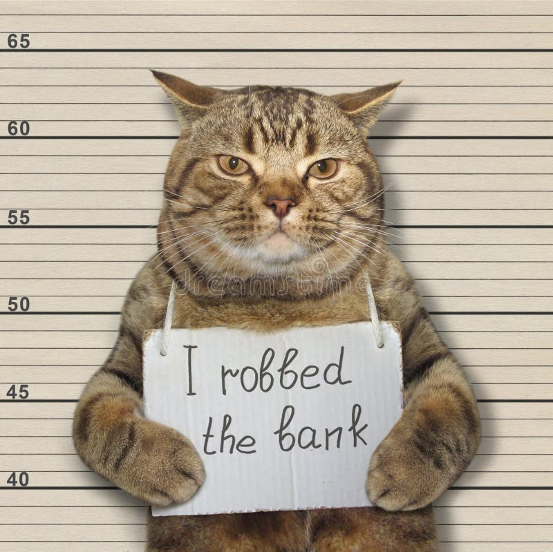 I robbed a bank!