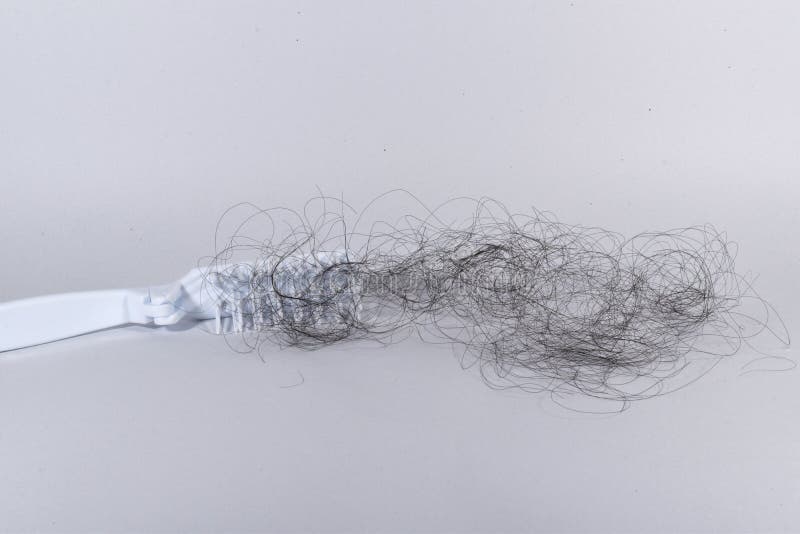 Bad Combing Causes Hair Damage Hair Loss Problems are Many Stock Image
