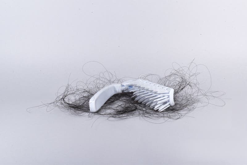 Bad Combing Causes Hair Damage Hair Loss Problems are Many Stock Image