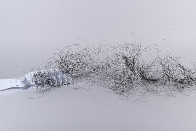 Bad Combing Causes Hair Damage Hair Loss Problems are Many Stock Photo