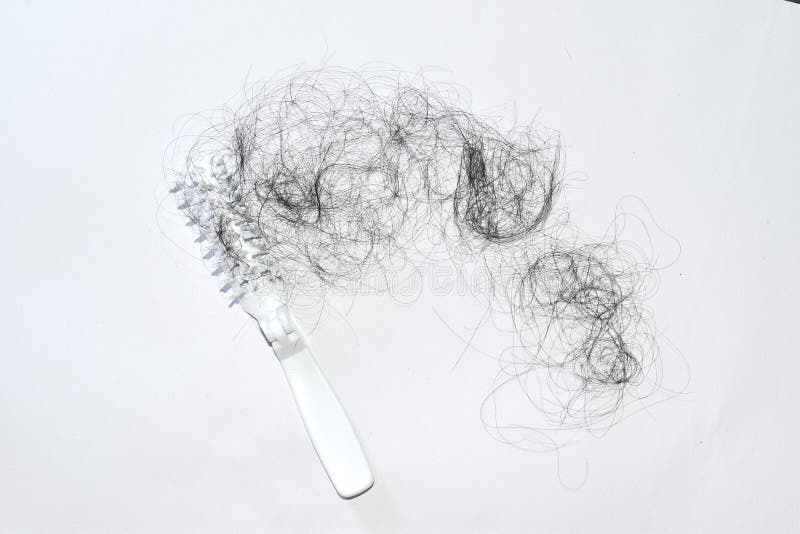 Bad Combing Causes Hair Damage Hair Loss Problems are Many Stock Image