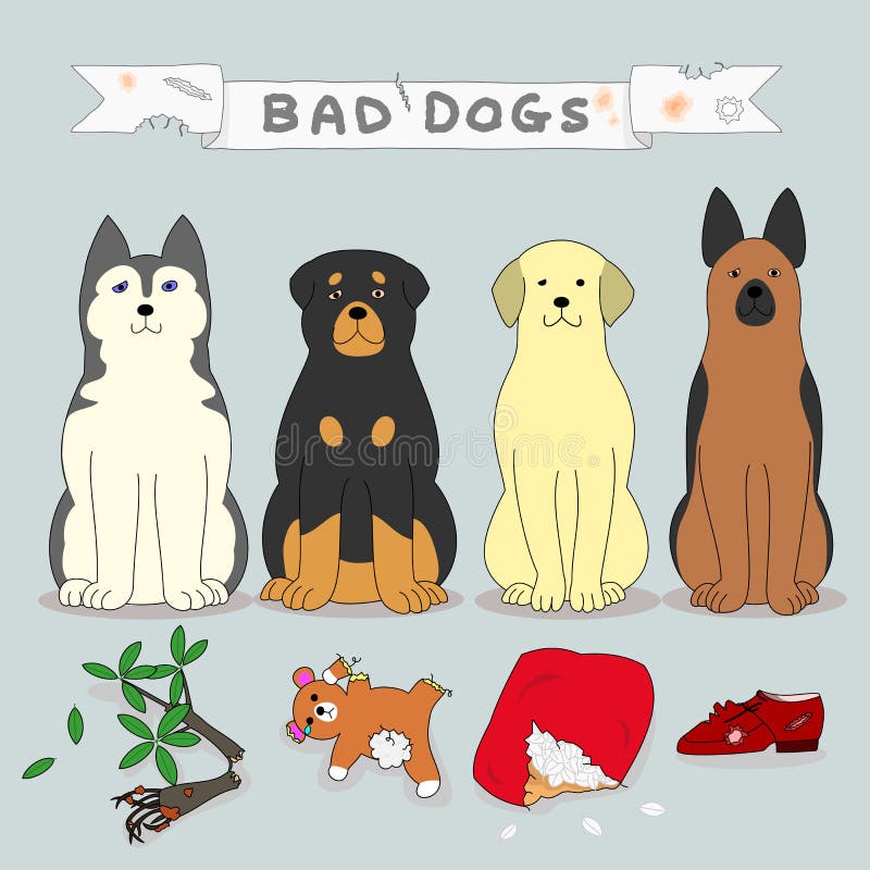 Are Shoes Bad For Dogs