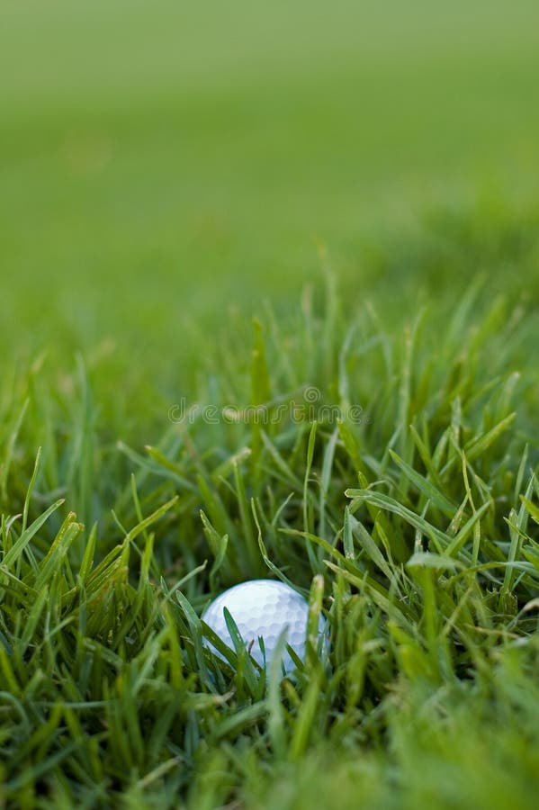 Bad Golf Ball Lie Royalty Free Stock Photos Image 2145918