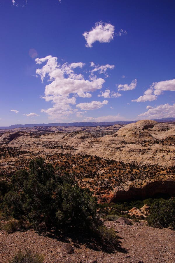 Bad-lands et canyon de grès image stock
