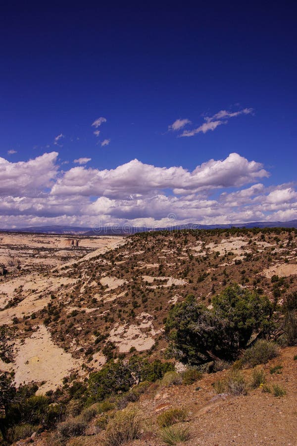 Bad-lands et canyon de grès photo libre de droits